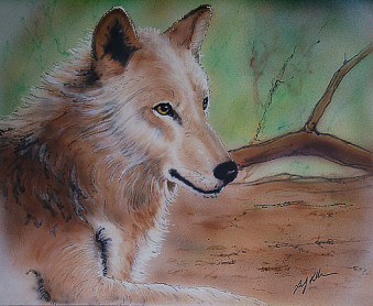 Brown Wolf